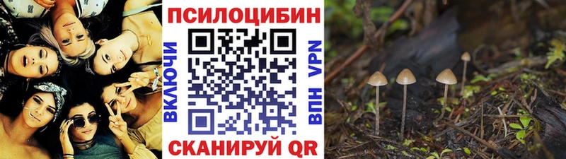 Псилоцибиновые грибы GOLDEN TEACHER наркошоп Сибай